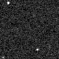 2020tzv_image