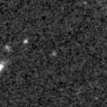 2020uer_image