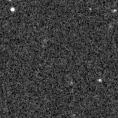 2020umd_image
