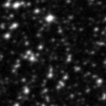 2020uoh_image