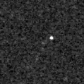 2020vfm_image