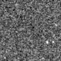 2020vhm_image