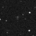 2020vig_image