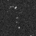 2020viq_image