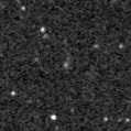 2020vlf_image