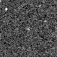 2020vme_image