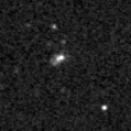 2020vn_image