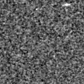 2020vrq_image