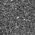 2020vrr_image