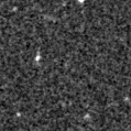 2020vsd_image