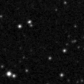 2020wcm_image