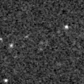 2020wdv_image