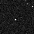2020wfj_image