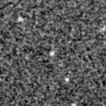 2020wgb_image