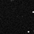 2020whi_image