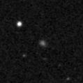 2020whq_image