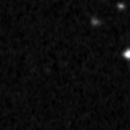 2020wkp_image
