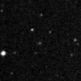 2020wlt_image