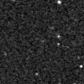 2020wlx_image
