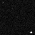 2020wng_image