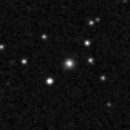 2020wni_image