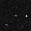 2020wnv_image