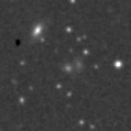 2020wny_image