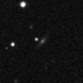 2020wpa_image