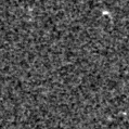 2020wpl_image