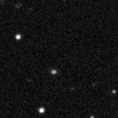 2020wpx_image