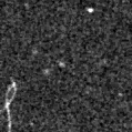 2020wro_image