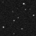 2020wrw_image