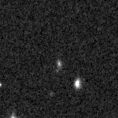 2020wsq_image