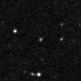 2020wty_image