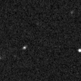 2020wvf_image