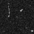 2020wvs_image