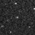 2020wwb_image