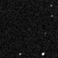 2020wwq_image