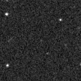 2020wwv_image