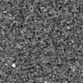 2020wxe_image