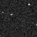 2020wyq_image