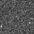 2020xbh_image