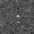2020xbp_image