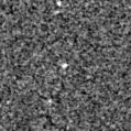 2020xgc_image