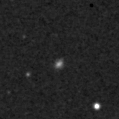 2020xgm_image