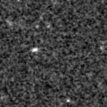 2020xhu_image