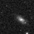 2020xlt_image