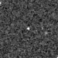 2020xlz_image