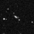 2020xm_image