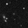 2020xmn_image